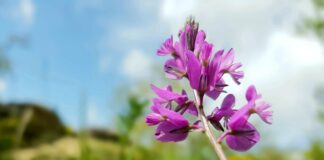 Un’estate a colori