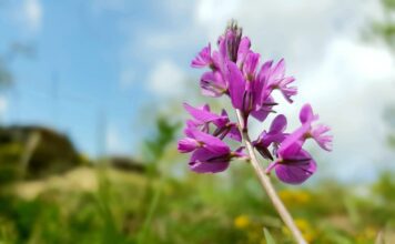 Un’estate a colori