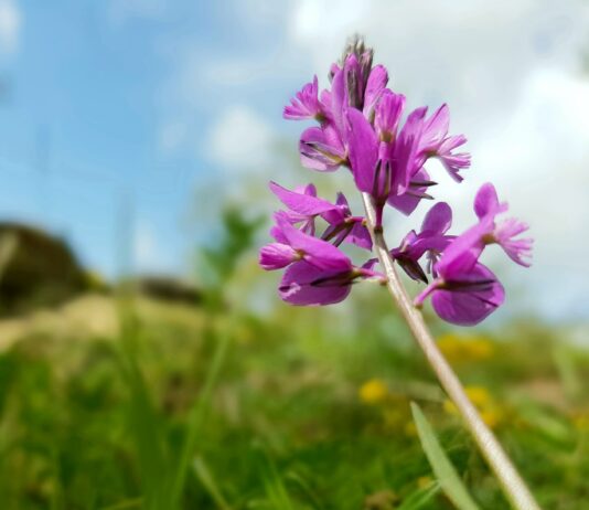Un’estate a colori