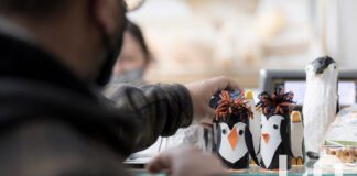 L’Arezzo del futuro per chi è “Meno alto dei pinguini”