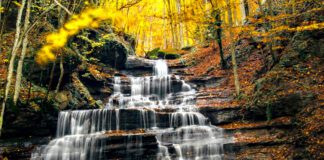 Autunno in Casentino