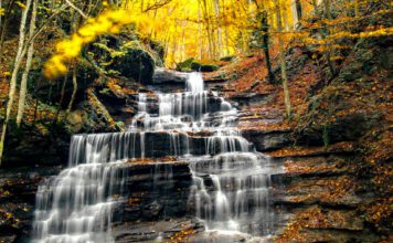 Autunno in Casentino