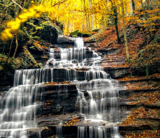 Autunno in Casentino