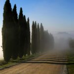 Magini-Azelio—Ombre-nella-nebbia