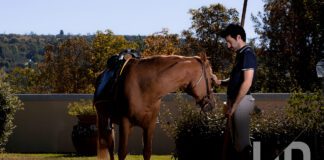 Gianmaria Scortecci, il professore di Saracino