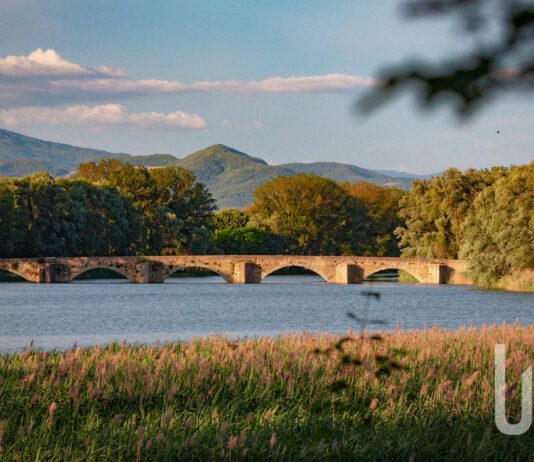Ponte Buriano e dintorni
