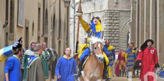 Elia Cicerchia, il talento che ha cambiato la Giostra