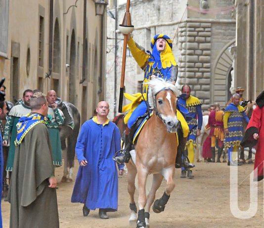 Elia Cicerchia, il talento che ha cambiato la Giostra