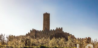 Il castello di Montecchio Vesponi
