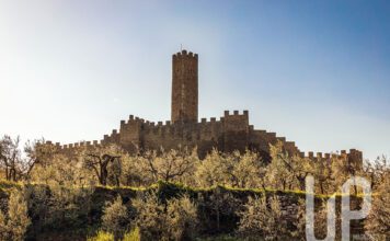 Il castello di Montecchio Vesponi