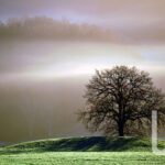 UP-instagram
