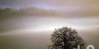 La bellezza dell’inverno