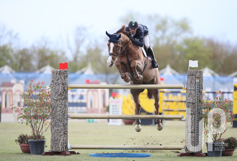 salto cavallo equestrian centre arezzo