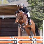 equestrian-salto-ostacolo