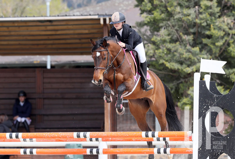 equestrian-salto-ostacolo