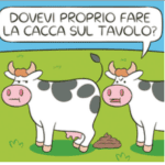 Screenshot 2024-11-26 alle 14.11.09