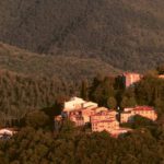 caprese michelangelo