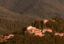 Caprese Michelangelo