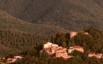 Caprese Michelangelo