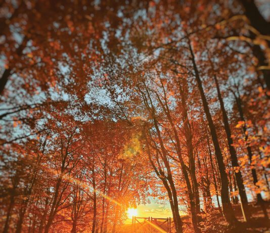 L’autunno incantato tra Arezzo e Casentino