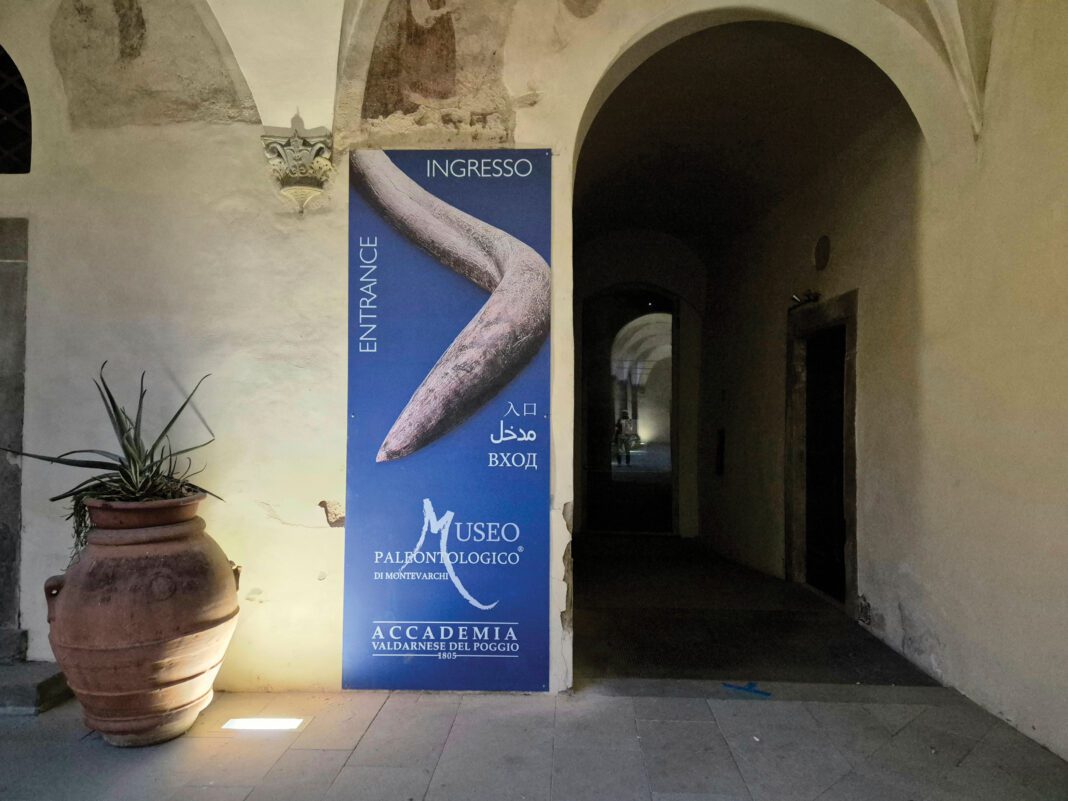 ingresso-Museo-Paleontologico-Montevarchi