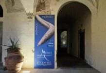 Il Museo Paleontologico