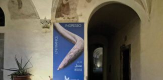 Il Museo Paleontologico