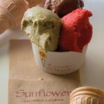UP SUN FLOWER000030