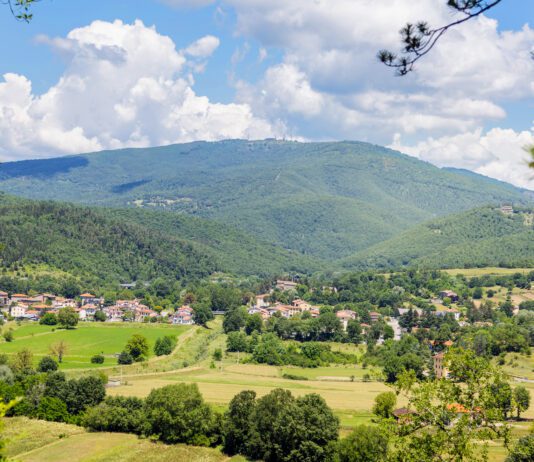 La Valcerfone